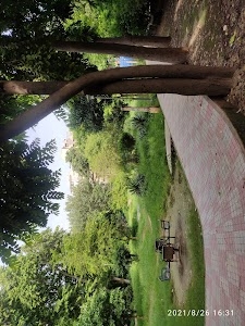 Lilly Park