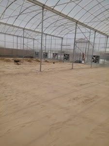 Burgan Agri Co.