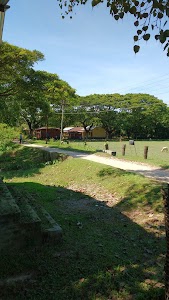 Niz Namati PHC