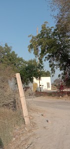 10 sarkari