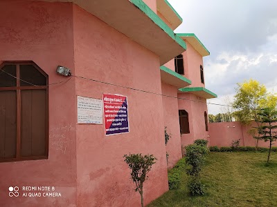 National Inter Collage