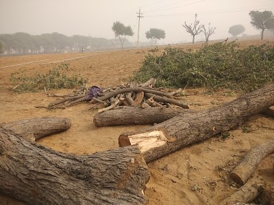 Sumit Noonia Farm