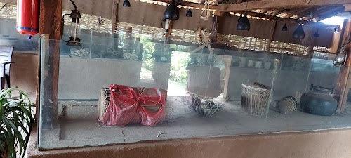 Dangi nature to home