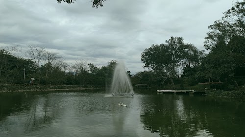 Clement Town Lake
