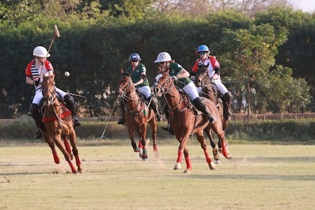 Jaipur Riding & Polo Club