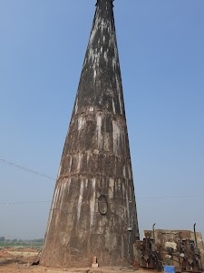 Araia