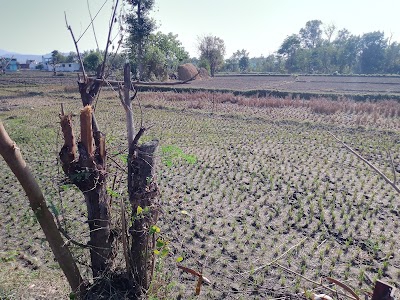 Tehari Farm