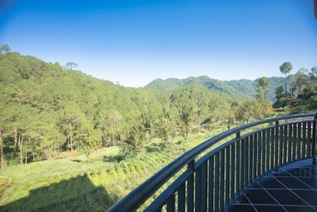 Tethys Himalaya Resort - Kasauli