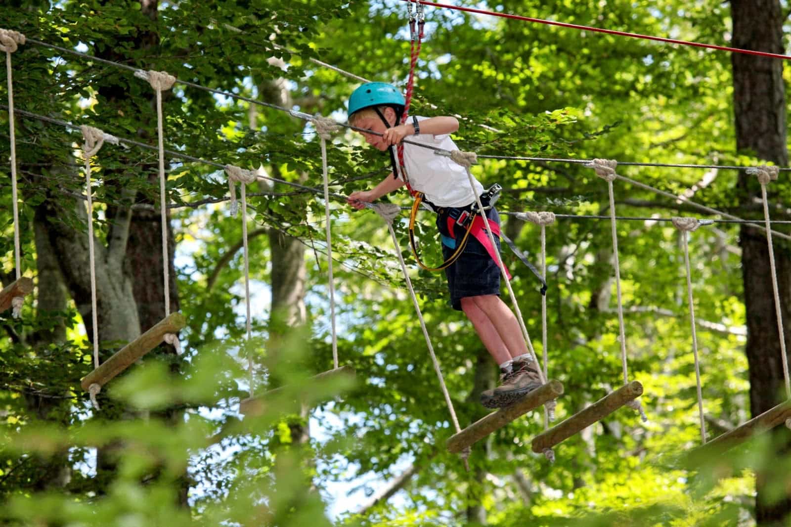 Tree Adventure Park Vizzavona