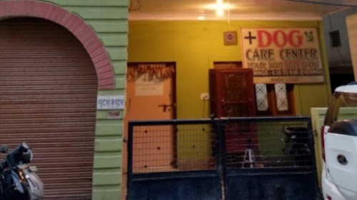 Dog Care Center