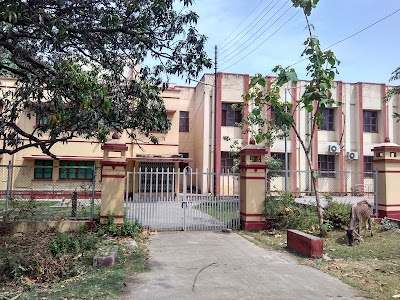 School Of Biomedical Engineering, IIT BHU