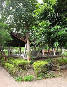 Dhantoli Garden