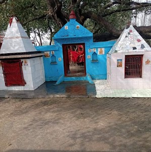 बरमदेव महाराज