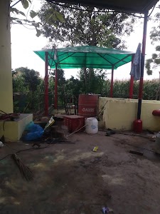 Kuldeep numberdar farm