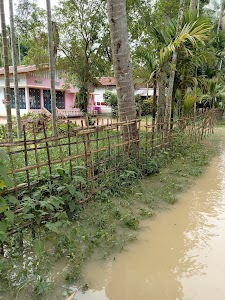 Solmari Gaon