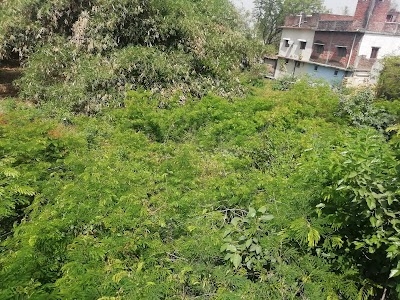 SHIV MANDIR