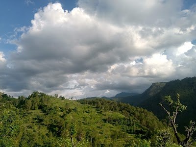 Tantura
