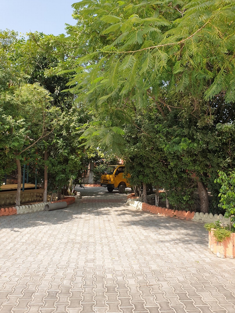 Workout Park