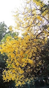 Sadiq Nagar