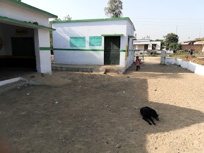 Primary School Udhopura Pasch.