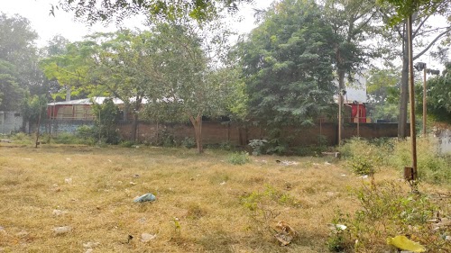 Park