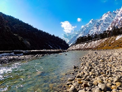Yumthang Valley