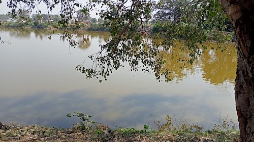 Chingri