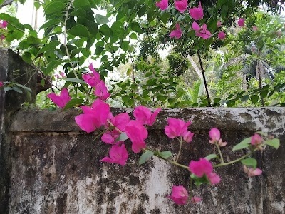 Jangalpara Belgram