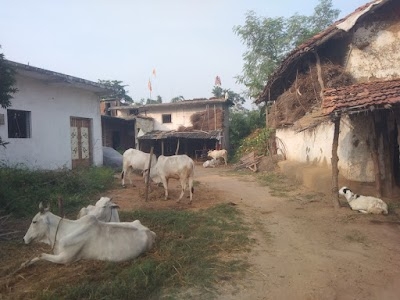 श्री राम मंदिर गली बासी