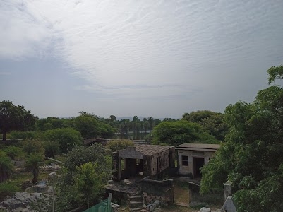 Mevi Kalan