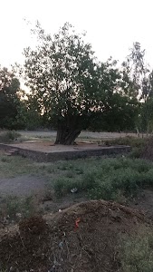 Shiv Mandir