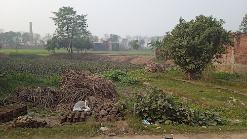 Titila Chauraha, Sukrauli, Kushinagar,Uttar Pradesh