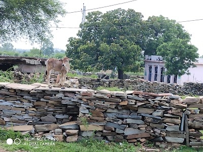 Dev narayan mandir kama