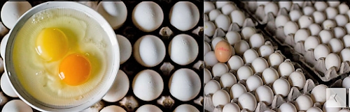 Quality Layer Farms