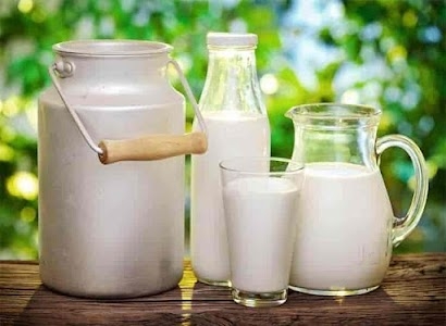Anchal milk collection center Nausar Farm