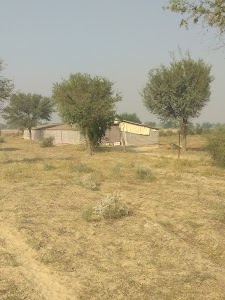 Changoi