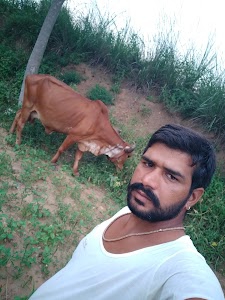 Chainpura Khurd