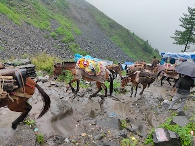 Hadsar