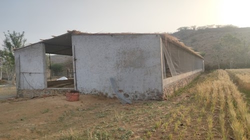 Poultry farm