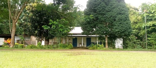 Jonglapara