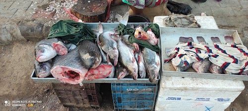 Fish Market