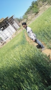 Dudhivare