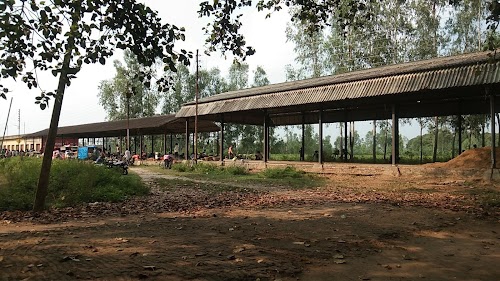 Sbji Market