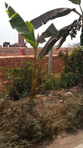 Rajbaria