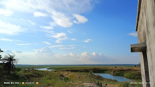 Gurudi