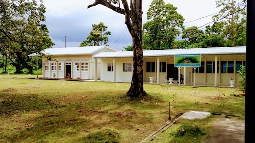 Faculty Of Earth And Environmental Sciences