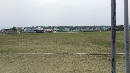 Cricket academy