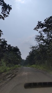 Kajali