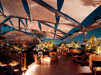 Monkey Bar Dubai