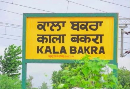 Kala Bakra